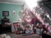 Oh Christmas Tree, Oh Christmas Tree...